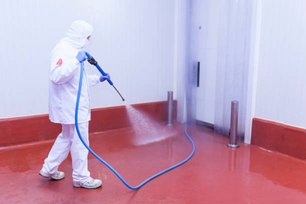 Best Pre-Holiday Cleaning  in Riverside, CA
